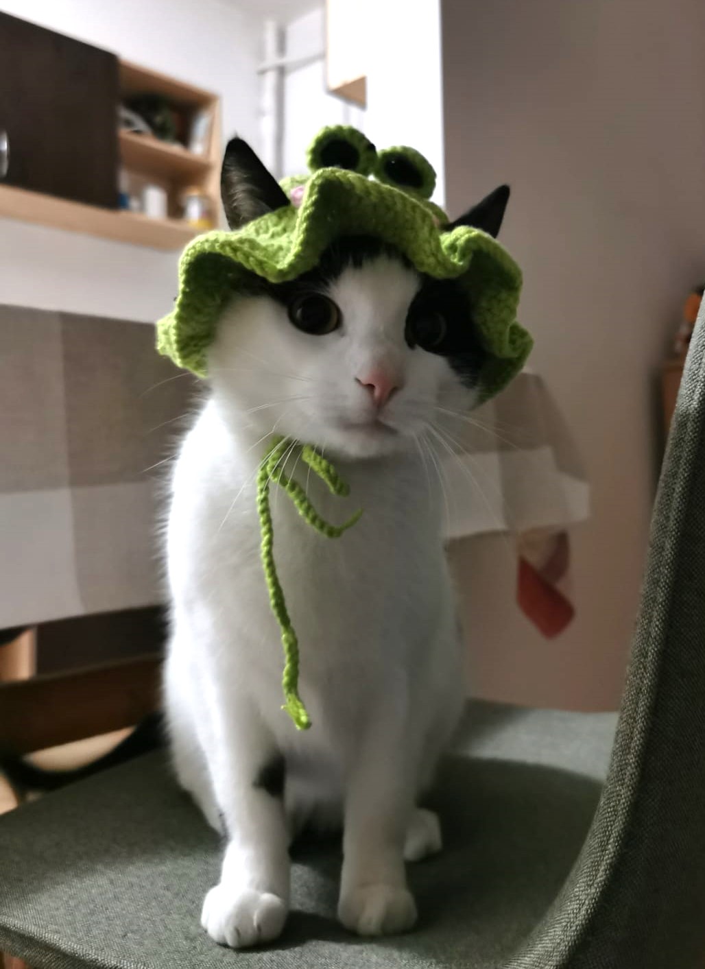 Imagine suplimentară