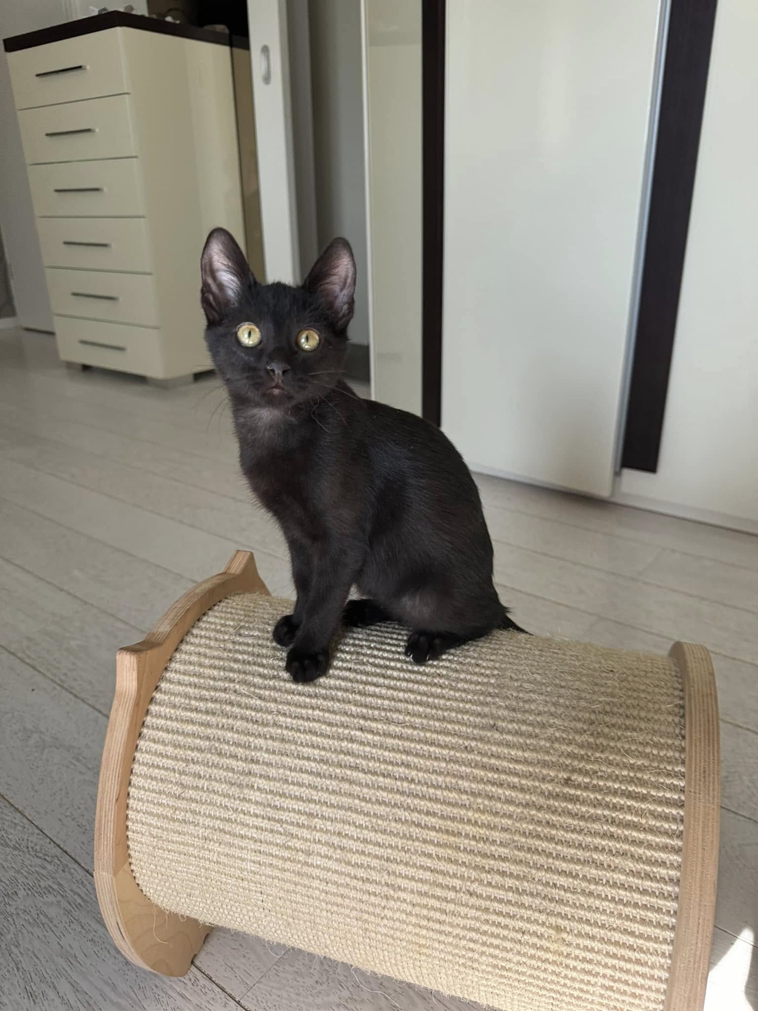 Imagine suplimentară